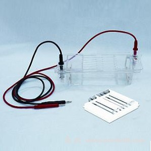 DYCP-32B瓊脂糖水平電泳槽
