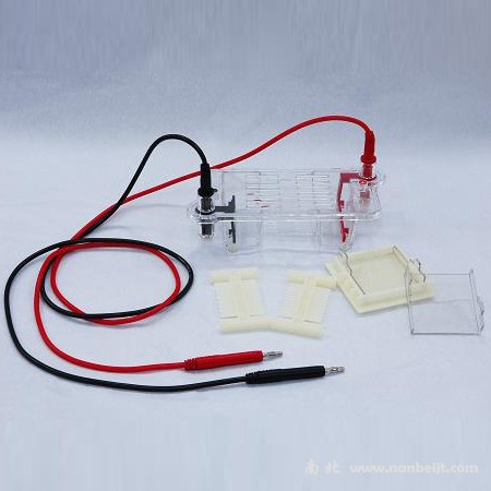 DYCP-31BN瓊脂糖水平電泳儀(槽)