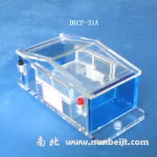 DYCP-31A瓊脂糖電泳儀(槽)