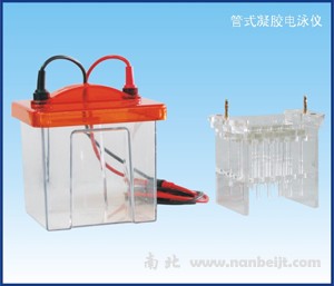 BG-tubeMINI管式電泳儀