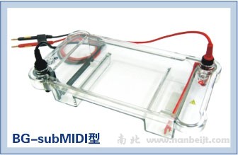 BG-subMIDI多用途水平電泳儀