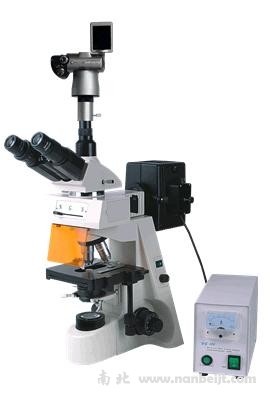 BM-19AYS數(shù)碼熒光顯微鏡