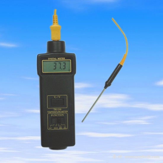 TM1310溫度計