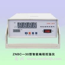 ZNBC-30智能編程控溫儀
