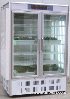 HWS-1000恒溫恒濕培養(yǎng)箱