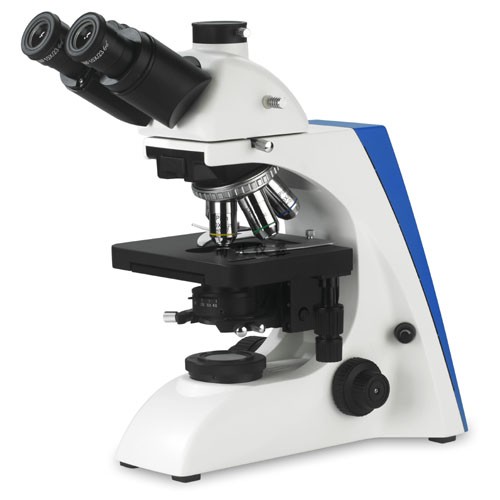 BK6000生物顯微鏡