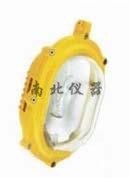 內(nèi)場強(qiáng)光防爆燈
