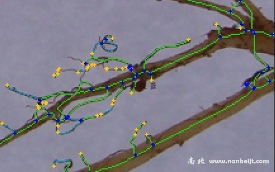 GXY-A根系分析系統(tǒng)