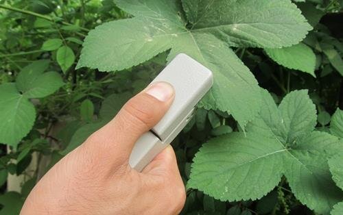 YWC植物葉片溫差測量儀