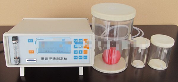 GXH-3051H果蔬呼吸測(cè)定儀