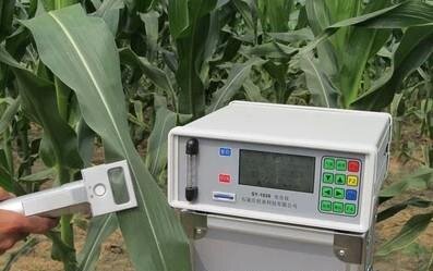 3051D植物光合作用測(cè)定儀